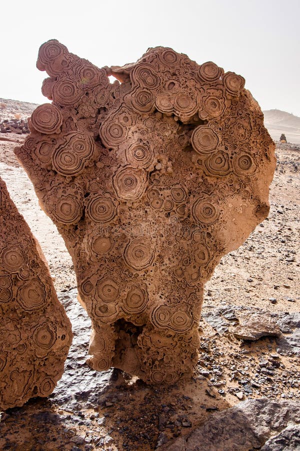 In den D?nen des Ergs Chebbi nahe Merzouga in s?d?stlichem Marokko stockfoto In den D?nen des Ergs Chebbi nahe Merzouga in s?d?stlichem Marokko stockfoto