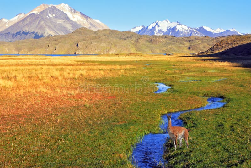 Den ensliga Estanciaen i nationalparken Perito Moreno i den enorma dalen för Argentina. The som omges av snö-korkade berg. Korsar den pittoreska dalen av The Creek