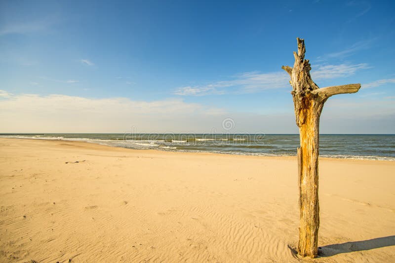 Den ensamma stranden av Östersjön med blå himmel och seglar fartyget royaltyfria foton Den ensamma stranden av Östersjön med blå himmel och seglar fartyget royaltyfria foton