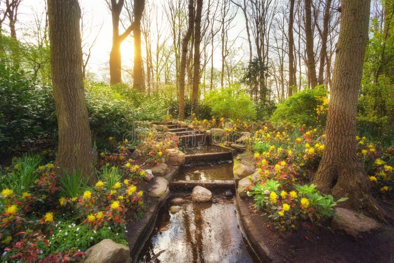 Den fantastiska blommande våren parkerar med vattenkaskaden royaltyfri bild Den fantastiska blommande våren parkerar med vattenkaskaden royaltyfri bild