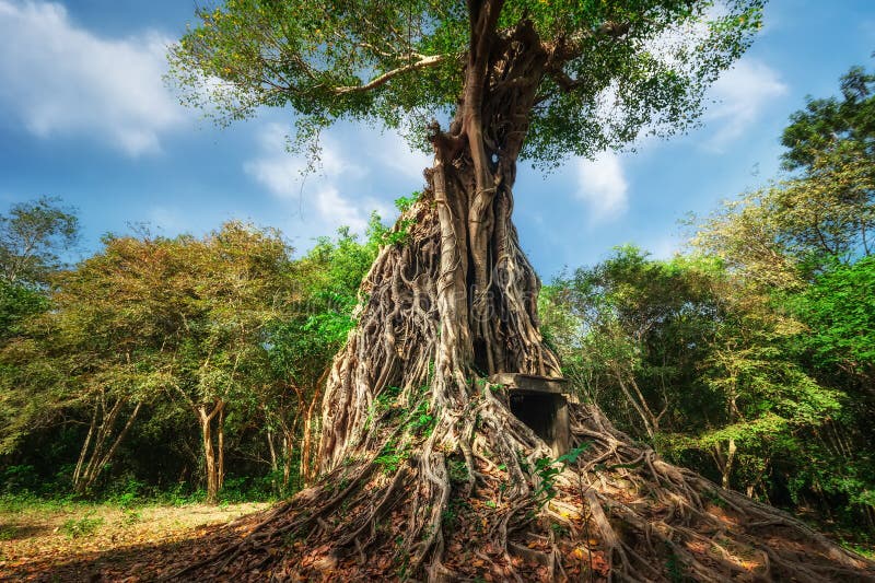 Den forntida Angkor Sambor Prei Kuk templet fördärvar pre cambodia royaltyfria bilder Den forntida Angkor Sambor Prei Kuk templet fördärvar pre cambodia royaltyfria bilder