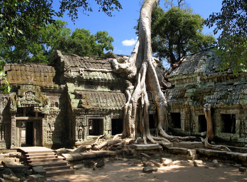 Den forntida angkoren cambodia konsumerar bomullsprohm fördärvar den silk ta-treen royaltyfria bilder