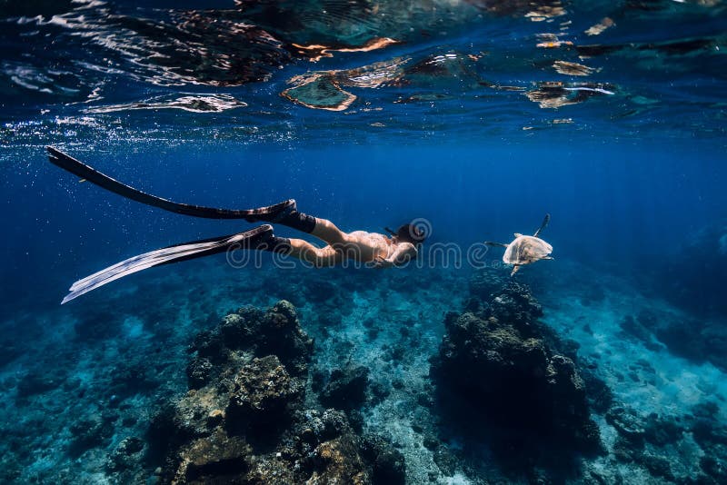 Den Freediver kvinnan glider det undervattens- havet med fena och sköldpaddan royaltyfria foton Den Freediver kvinnan glider det undervattens- havet med fena och sköldpaddan royaltyfria foton