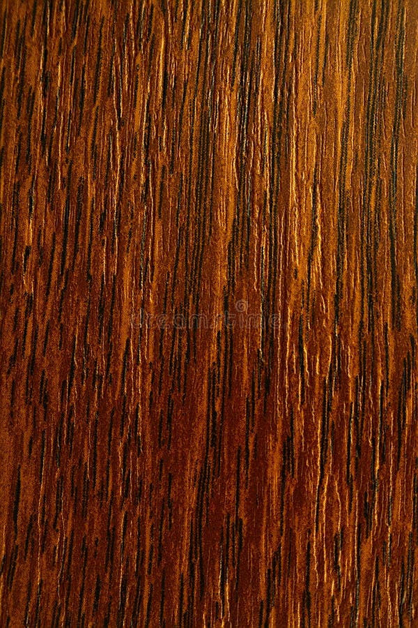 Den färgade eken, texturerar gammalt trä arkivbilder Den färgade eken, texturerar gammalt trä arkivbilder