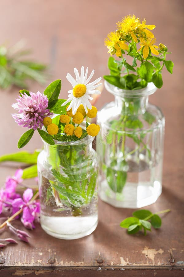 Den färgrika läkarundersökningen blommar och örter i glass krus arkivbilder Den färgrika läkarundersökningen blommar och örter i glass krus arkivbilder
