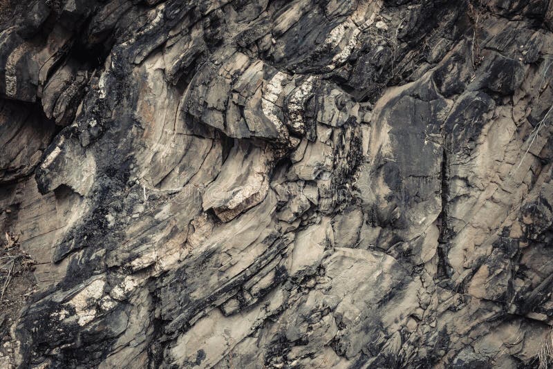 Den förstenade Wood texturbakgrunden, arkivfoto Den förstenade Wood texturbakgrunden, arkivfoto