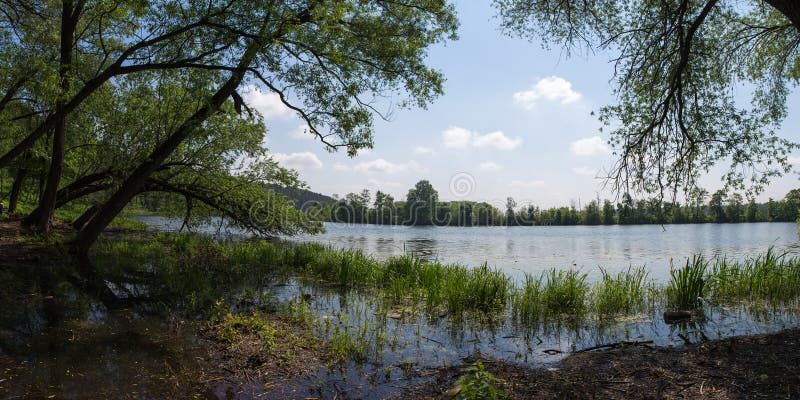 Den gamla pilen lutade över den leriga banken av floden Byn av Arkhangelsk Ryssland royaltyfri foto Den gamla pilen lutade över den leriga banken av floden Byn av Arkhangelsk Ryssland royaltyfri foto