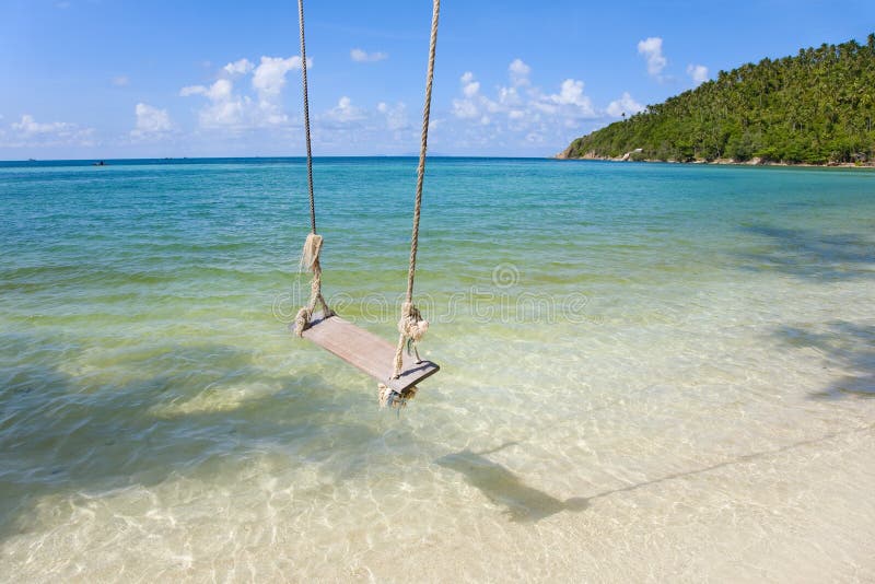den gammala strandkokosnöten gömma i handflatan tropisk swing arkivfoto den gammala strandkokosnöten gömma i handflatan tropisk swing arkivfoto