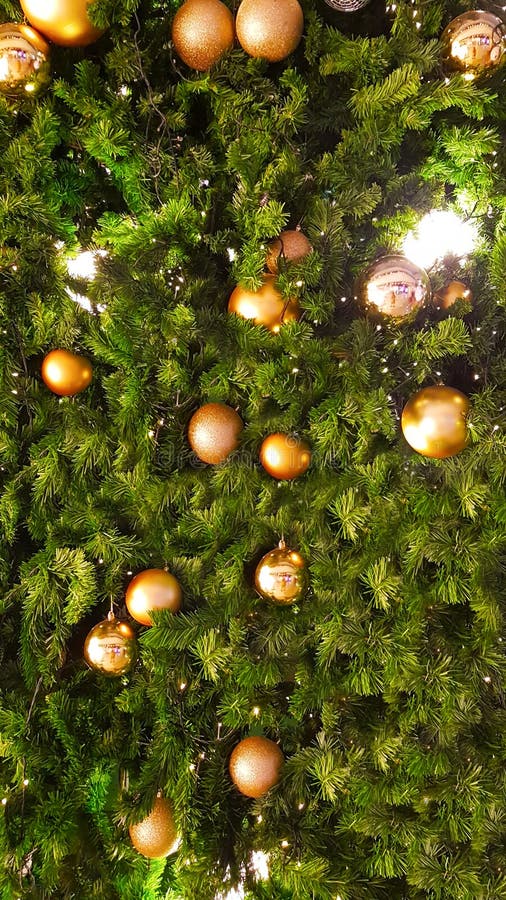 Den guld- bollen p? julgranen arkivfoto Den guld- bollen p? julgranen arkivfoto