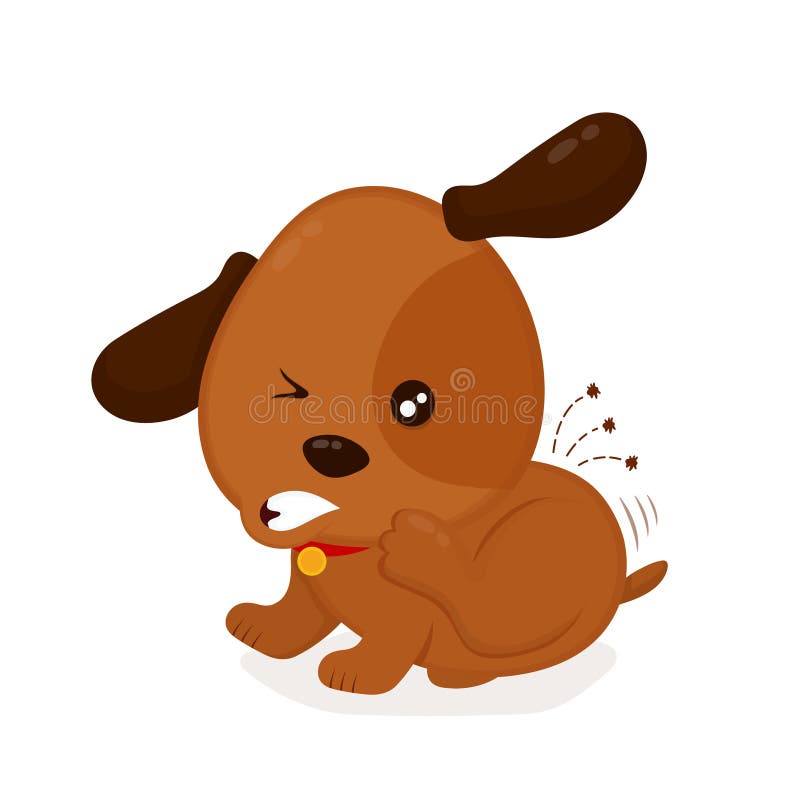 Den gulliga ilskna kliande hunden skrapar av loppor stock illustrationer Den gulliga ilskna kliande hunden skrapar av loppor stock illustrationer
