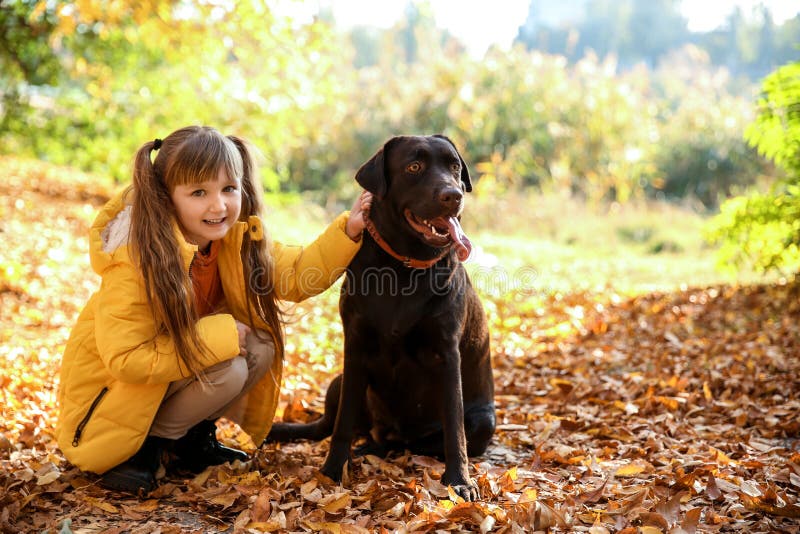 Den gulliga lilla flickan med hunden i höst parkerar royaltyfri bild Den gulliga lilla flickan med hunden i höst parkerar royaltyfri bild