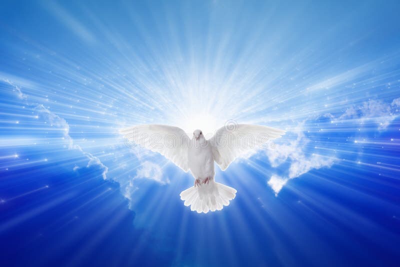 Holy Spirit came down like dove, holy spirit dove flies in blue sky, bright light shines from heaven, christian symbol, gospel story. Holy Spirit came down like dove, holy spirit dove flies in blue sky, bright light shines from heaven, christian symbol, gospel story