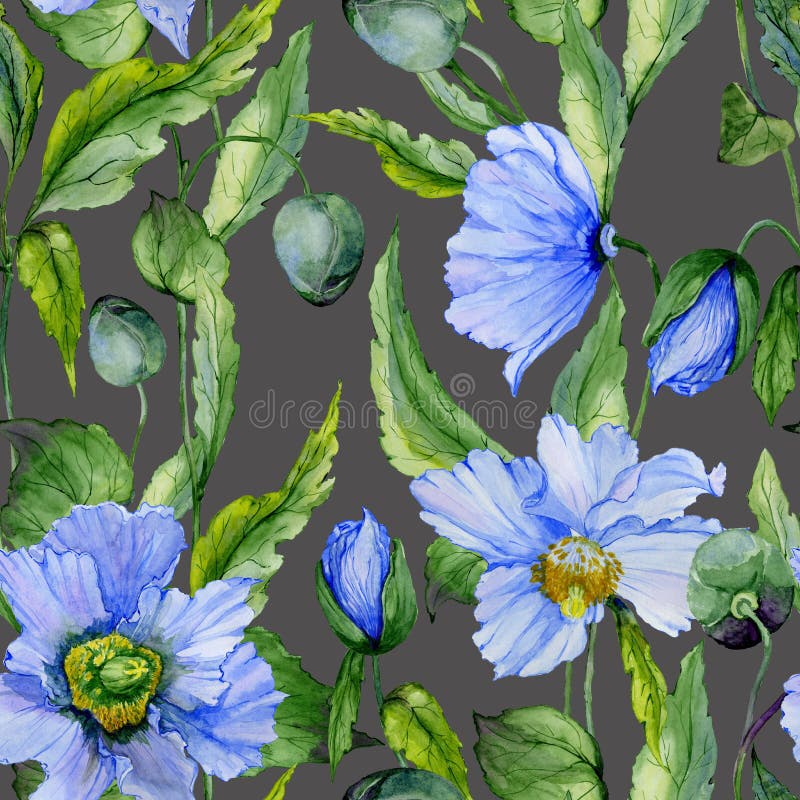 Den härliga blåa vallmo blommar med gröna sidor på mörker - grå bakgrund seamless blom- modell för Adobekorrigeringar hög för mål vektor illustrationer