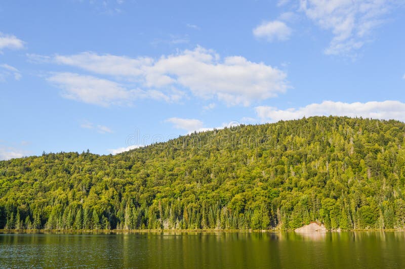 Den härliga Niagaraen på sjön i Ontario royaltyfria foton Den härliga Niagaraen på sjön i Ontario royaltyfria foton