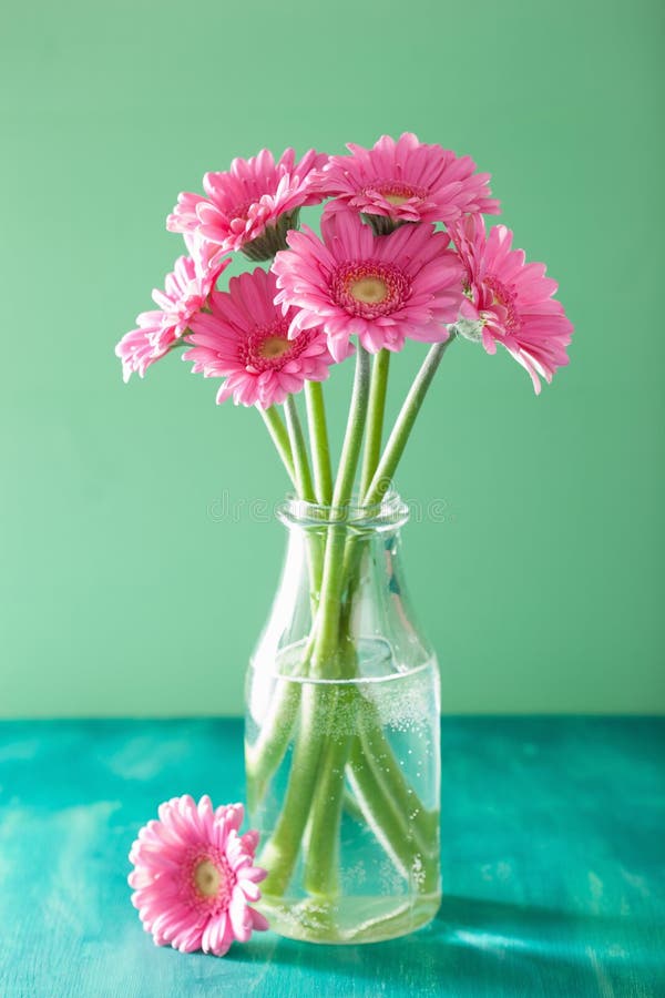 Den härliga rosa gerberaen blommar buketten i vas royaltyfri bild Den härliga rosa gerberaen blommar buketten i vas royaltyfri bild