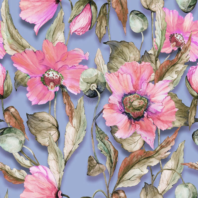 Den härliga rosa vallmo blommar på lila bakgrund Kulör sömlös blom- modell för pastell för Adobekorrigeringar hög för målning för vektor illustrationer