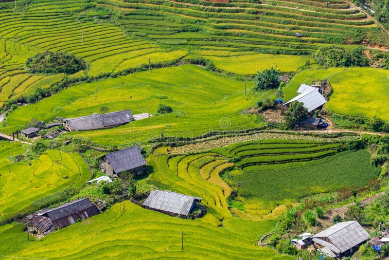 Den härliga sikten, risfält terrasserar på Sapa, Vietnam royaltyfri bild