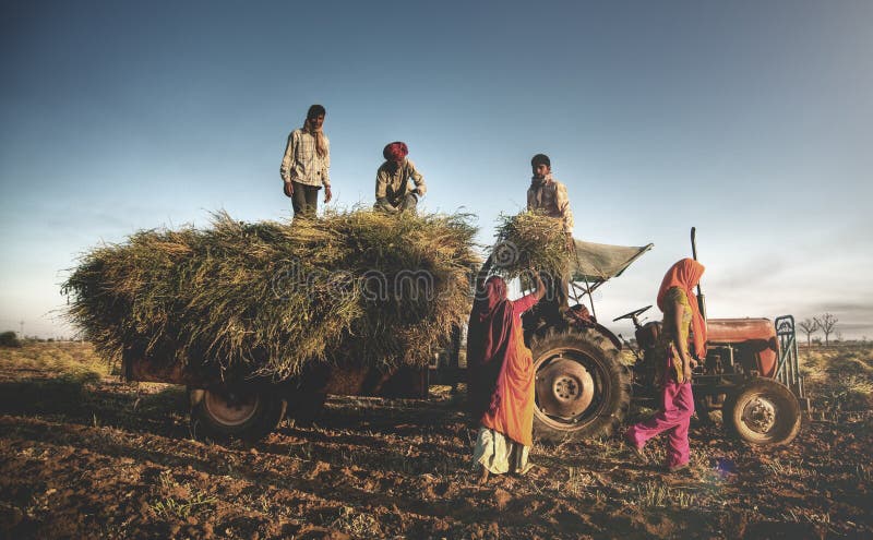 Den Indien familjFaeming plockningen kantjusterar plockningbegrepp royaltyfri fotografi Den Indien familjFaeming plockningen kantjusterar plockningbegrepp royaltyfri fotografi