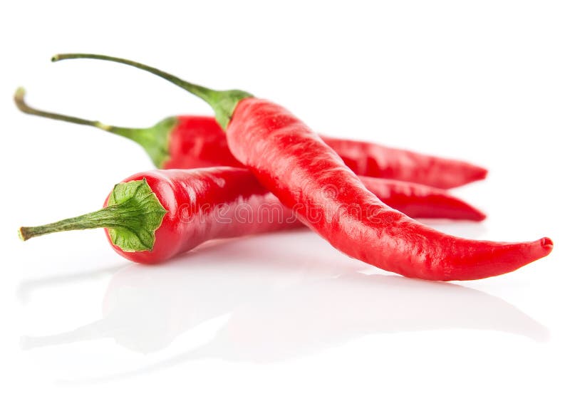 Den isolerade chilin pepprar röd white royaltyfri fotografi