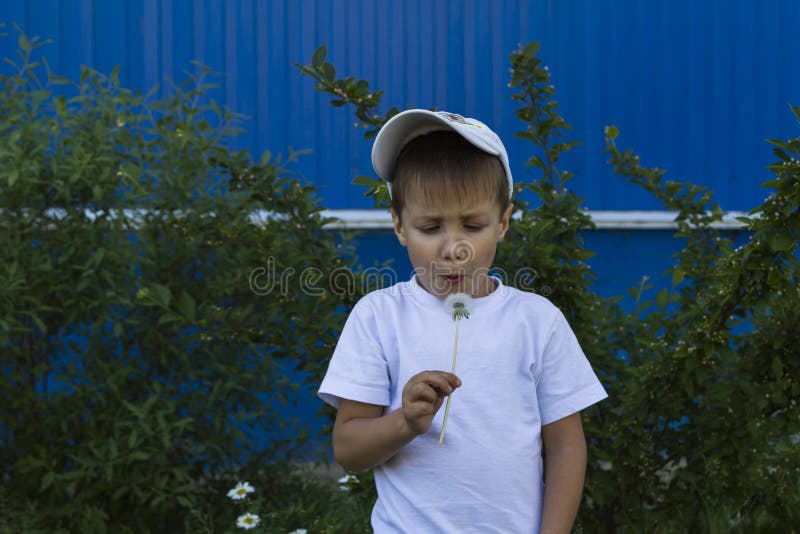 Den kaukasiska pojken i vit T-shirt blåser en dandelion royaltyfri fotografi Den kaukasiska pojken i vit T-shirt blåser en dandelion royaltyfri fotografi