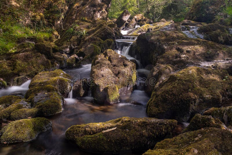 Den lilla floden som flödar över, vaggar på Glenarriff trän reserven, Irland, delen av cirkeln av Kerry, lång exponering för att royaltyfria bilder Den lilla floden som flödar över, vaggar på Glenarriff trän reserven, Irland, delen av cirkeln av Kerry, lång exponering för att royaltyfria bilder