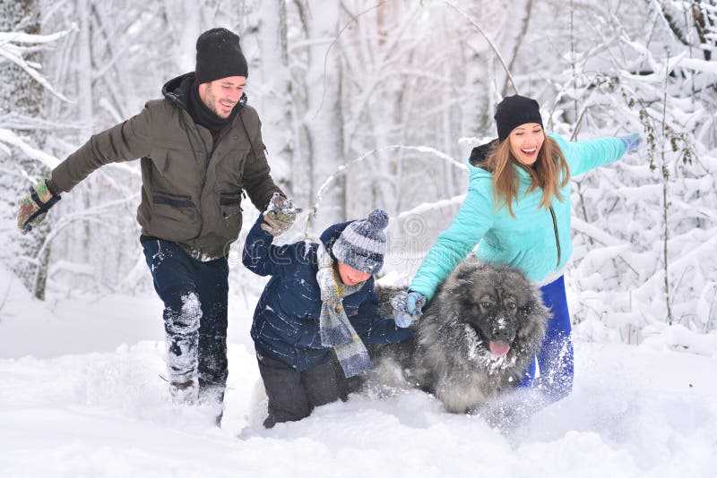 Den lyckliga den familjfadern, sonen, modern och husdjuret som går i vinter, parkerar royaltyfria bilder