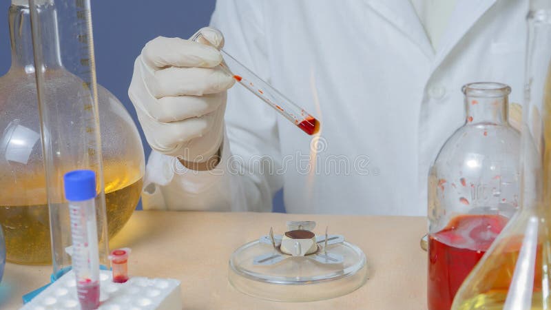 Den medicinska teknikeren värmer in vitro materiellt för analys royaltyfri fotografi Den medicinska teknikeren värmer in vitro materiellt för analys royaltyfri fotografi