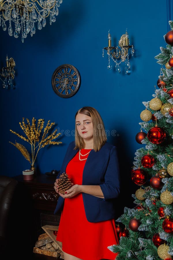 Den mycket härliga kvinnan står nära spisen i det nya årets rum arkivfoto Den mycket härliga kvinnan står nära spisen i det nya årets rum arkivfoto
