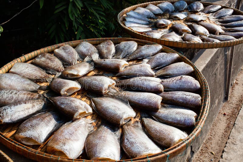 den nya fisken filea på marknaden arkivbild den nya fisken filea på marknaden arkivbild