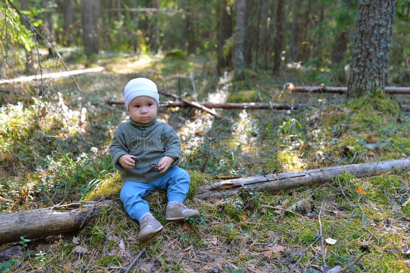 Den roliga pysen som spelar med, s?rjer kottar som sitter p? golvet royaltyfria foton Den roliga pysen som spelar med, s?rjer kottar som sitter p? golvet royaltyfria foton