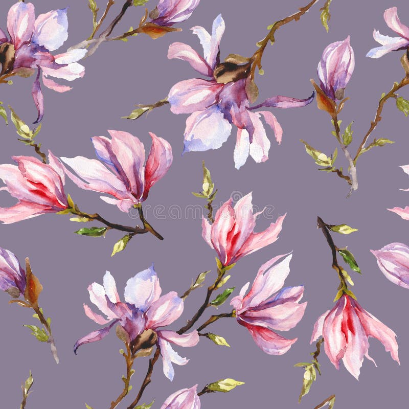 Den rosa magnolian blommar på en fatta på grå bakgrund seamless modell för Adobekorrigeringar hög för målning för photoshop för k
