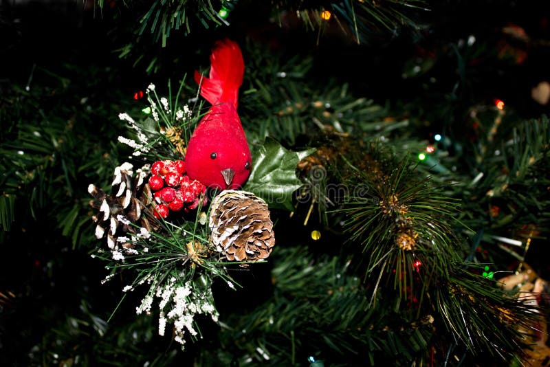 Den röda kardinalen Ornament och snöig sörjer kottar på en julgran royaltyfri bild Den röda kardinalen Ornament och snöig sörjer kottar på en julgran royaltyfri bild