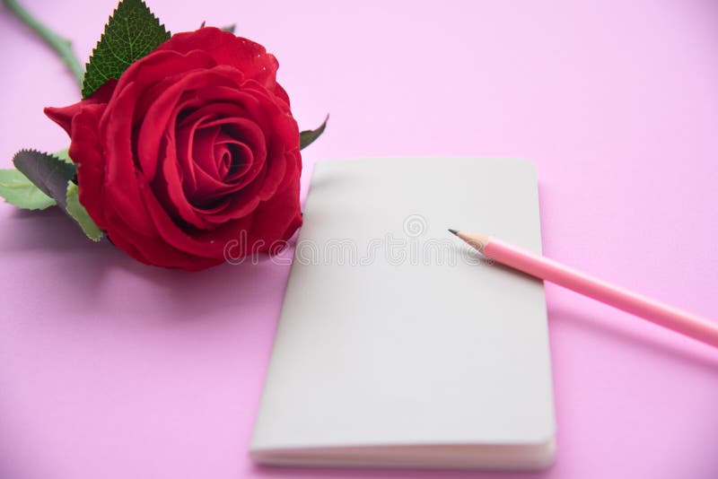 Den röda rosen, anteckningsboken, rosa färg ritar på rosa bakgrund arkivfoto Den röda rosen, anteckningsboken, rosa färg ritar på rosa bakgrund arkivfoto