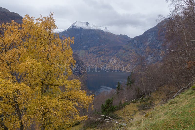 Den sceniska Geiranger fjorden i höst, Norge arkivbild Den sceniska Geiranger fjorden i höst, Norge arkivbild