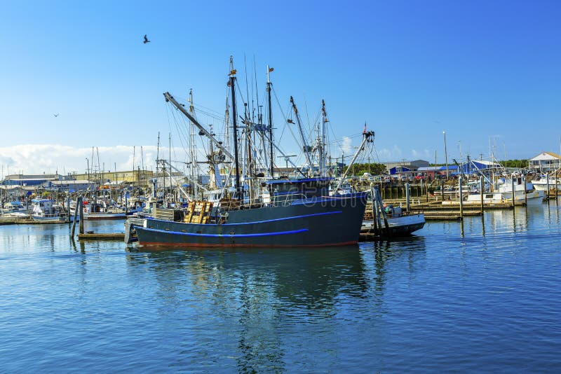Den stora fiskebåten Westport grånar hamnen Washington State royaltyfria bilder Den stora fiskebåten Westport grånar hamnen Washington State royaltyfria bilder