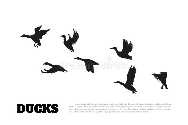 Den svarta konturanden flockas på en vit bakgrund vektor illustrationer Den svarta konturanden flockas på en vit bakgrund vektor illustrationer