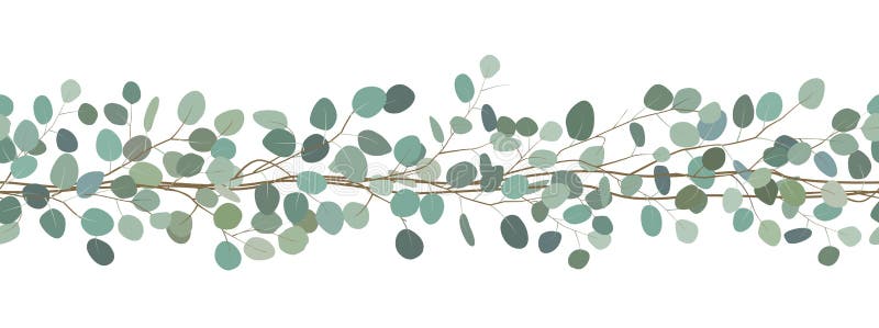 Den sömlösa gränsen av en eukalyptus förgrena sig den blom- ramen inramniner serie Tecknad illustration för vektor hand Vit bakgr royaltyfri illustrationer