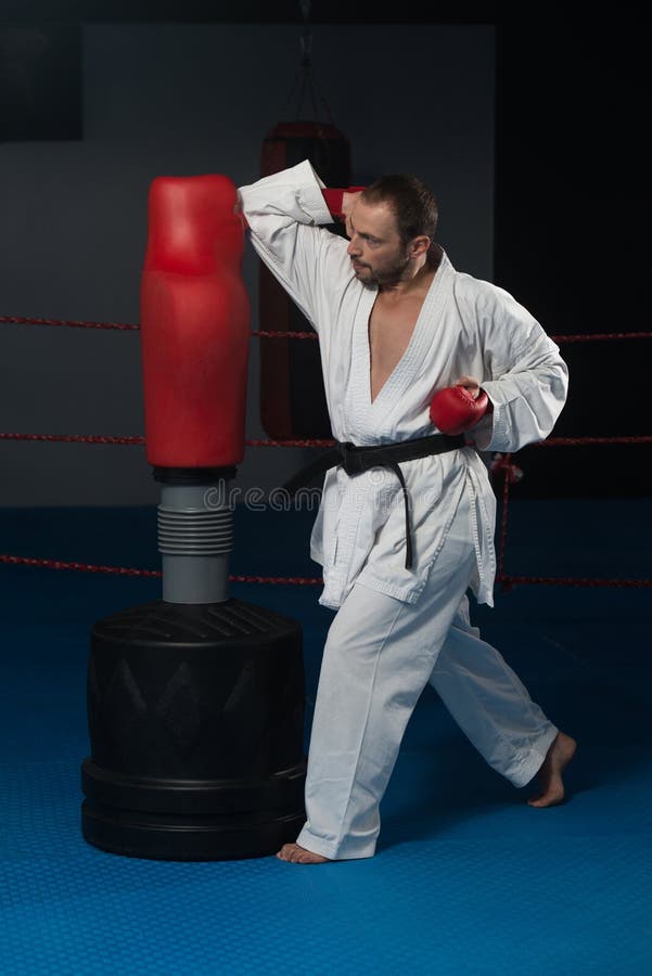 Den Taekwondo kämpen poserar arkivfoto Den Taekwondo kämpen poserar arkivfoto