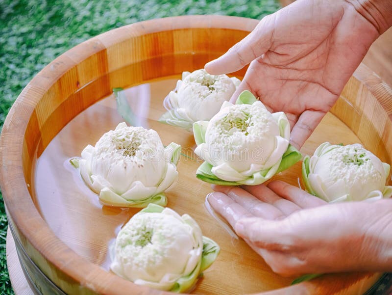 Den thailändska Spa behandlinghanden och manikyr spikar den våta brunnsorten arkivbilder Den thailändska Spa behandlinghanden och manikyr spikar den våta brunnsorten arkivbilder