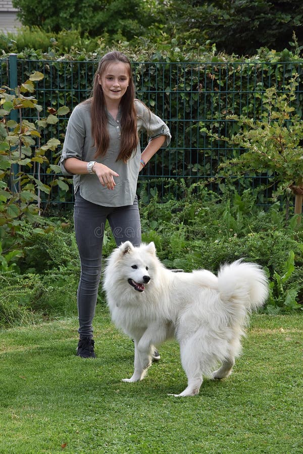 Den tonårs- flickan spelar med en ung samoyed fotografering för bildbyråer Den tonårs- flickan spelar med en ung samoyed fotografering för bildbyråer