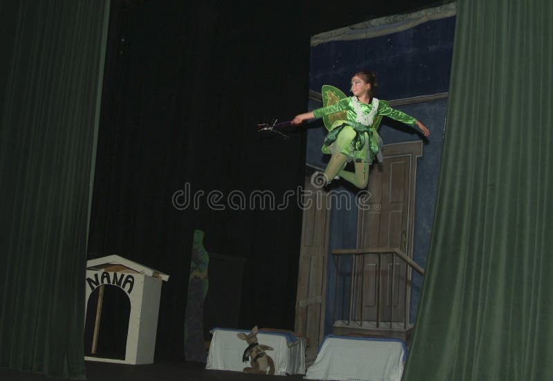 Den tonårs- flickan spelar tinkerbell i en tonårig lek Peter Pan arkivbild Den tonårs- flickan spelar tinkerbell i en tonårig lek Peter Pan arkivbild