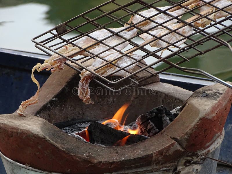 Den torkade tioarmade bläckfisken är förberett grillas, genom att använda kol arkivbilder Den torkade tioarmade bläckfisken är förberett grillas, genom att använda kol arkivbilder