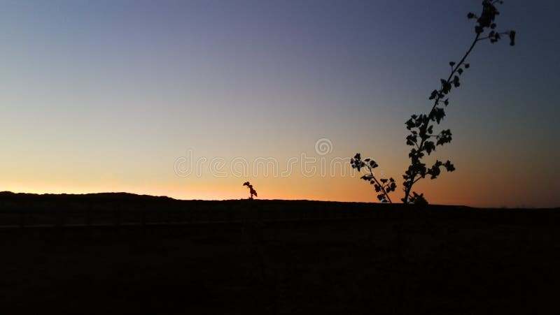 Den underbara naturen av Portugal arkivfoto Den underbara naturen av Portugal arkivfoto