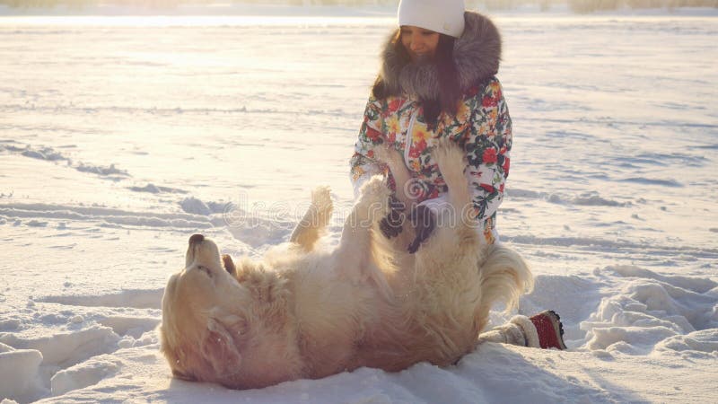 Den unga härliga lyckliga flickan spelar med en apportörhund i den insnöade vintern i solig dag under solnedgångtid royaltyfri foto Den unga härliga lyckliga flickan spelar med en apportörhund i den insnöade vintern i solig dag under solnedgångtid royaltyfri foto