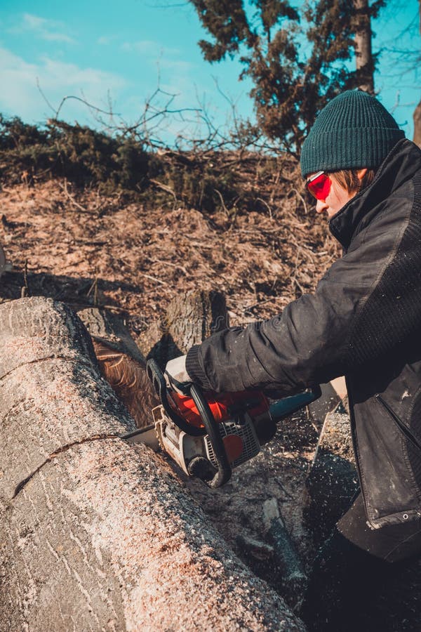 Den unga lantliga flickan klippte en trädchainsaw i handskar, kockvedträt för vinter arkivbilder Den unga lantliga flickan klippte en trädchainsaw i handskar, kockvedträt för vinter arkivbilder