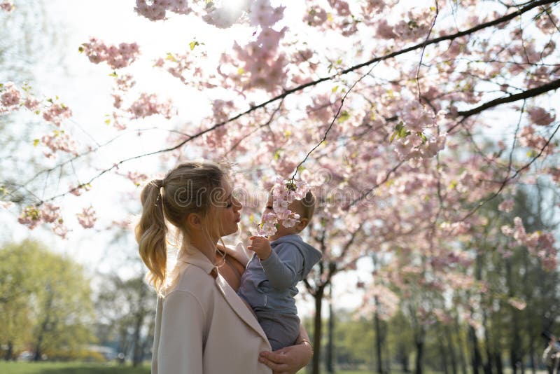 Den unga modermamman som rymmer hennes litet, behandla som ett barn sonpojkebarnet under att blomstra SAKURA Cherry tr?d med fall fotografering för bildbyråer Den unga modermamman som rymmer hennes litet, behandla som ett barn sonpojkebarnet under att blomstra SAKURA Cherry tr?d med fall fotografering för bildbyråer