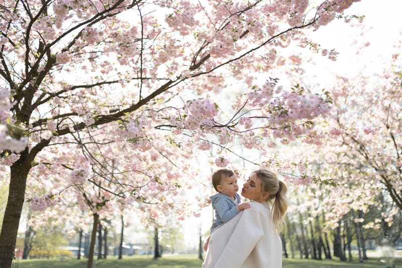 Den unga modermamman som rymmer hennes litet, behandla som ett barn sonpojkebarnet under att blomstra SAKURA Cherry tr?d med fall royaltyfri foto Den unga modermamman som rymmer hennes litet, behandla som ett barn sonpojkebarnet under att blomstra SAKURA Cherry tr?d med fall royaltyfri foto