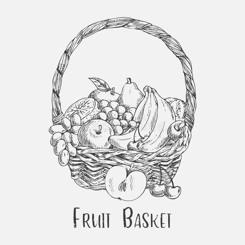 Den vide- korgen eller ped skissar med trädgårds- fruktmat royaltyfri illustrationer