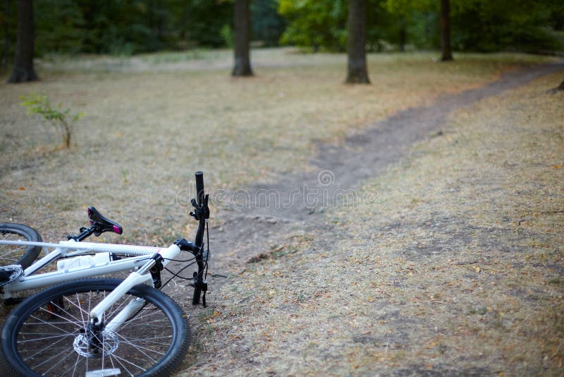 Den vita och rosa cykeln lägger på den övergav banan i parkerar eller skogen i en älskvärd höstdag Inget är omkring, lugnar och k arkivfoton Den vita och rosa cykeln lägger på den övergav banan i parkerar eller skogen i en älskvärd höstdag Inget är omkring, lugnar och k arkivfoton
