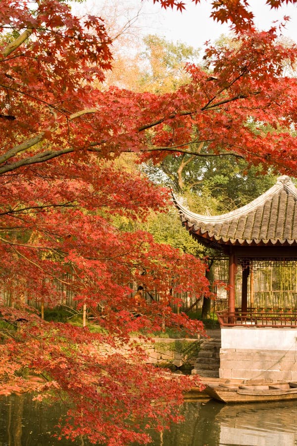 Den ödmjuka administratörsträdan i Suzhou royaltyfri bild